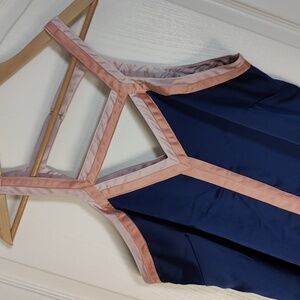 Forever 21+ Blue and Pink Sleeveless Top